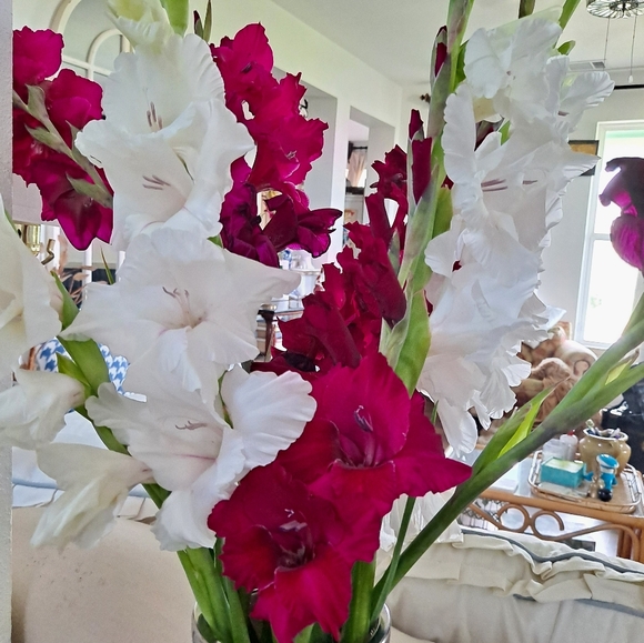 Meet your Posher, R Jewel - Picture 9 of 11